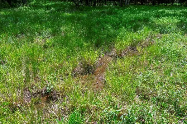 LT5-5a Jonica Gap RD, Mineral Bluff, GA 30559