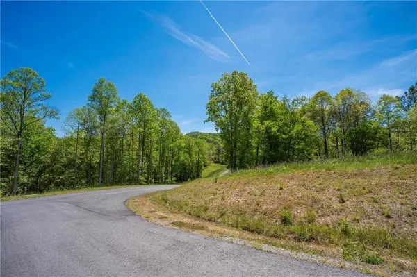 LT4-4a Jonica Gap RD, Mineral Bluff, GA 30559