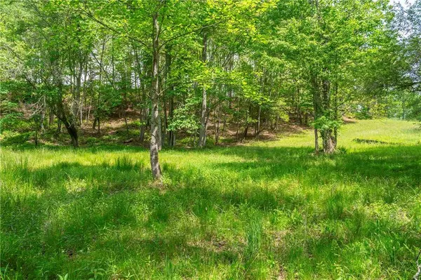 LT5-5a Jonica Gap RD, Mineral Bluff, GA 30559