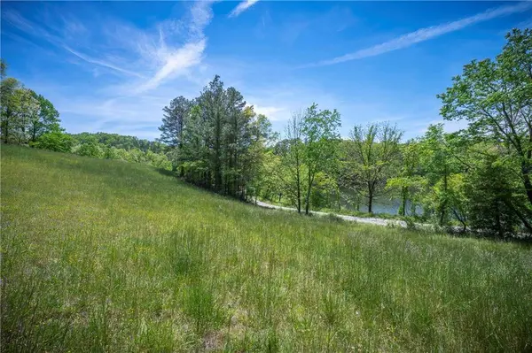 LT2-2a Jonica Gap RD, Mineral Bluff, GA 30559