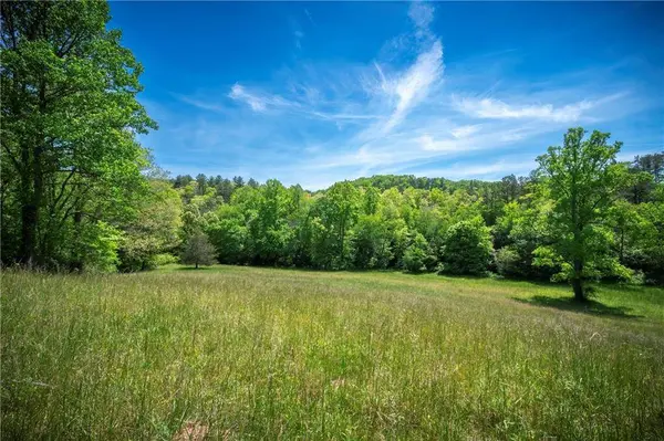 LT2-2a Jonica Gap RD, Mineral Bluff, GA 30559