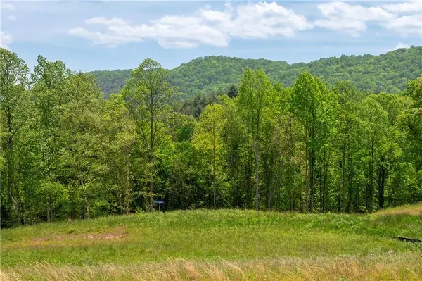 LOT 15 Jonica Gap RD, Mineral Bluff, GA 30559