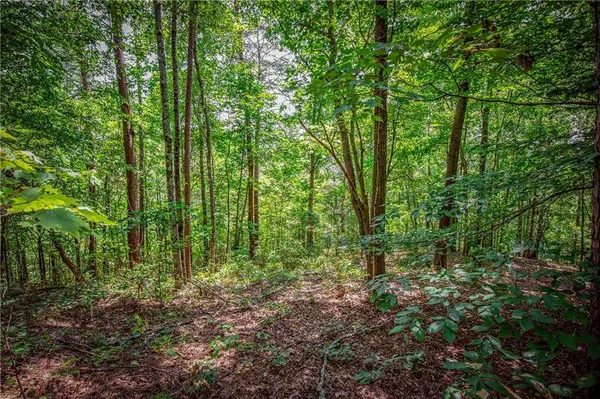 LT103R Mountain Creek Hollow DR, Talking Rock, GA 30175