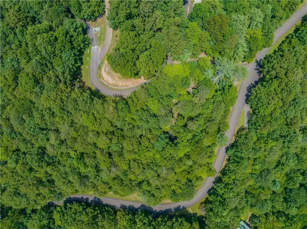 LT103R Mountain Creek Hollow DR, Talking Rock, GA 30175