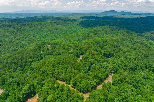 LT104 Mountain Creek Hollow DR, Talking Rock, GA 30175