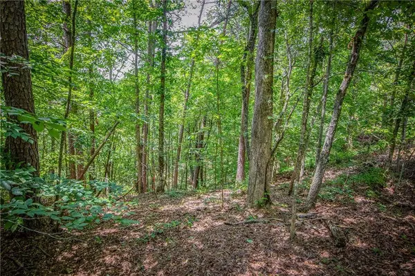 LT103R Mountain Creek Hollow DR, Talking Rock, GA 30175