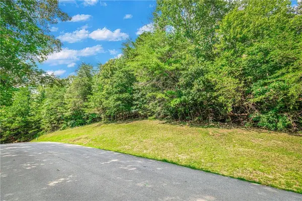 LT104 Mountain Creek Hollow DR, Talking Rock, GA 30175