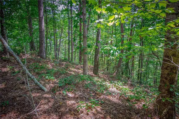 LT104 Mountain Creek Hollow DR, Talking Rock, GA 30175
