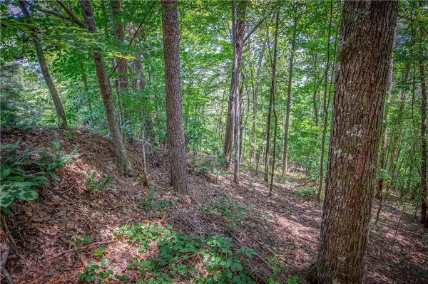 LT104 Mountain Creek Hollow DR, Talking Rock, GA 30175