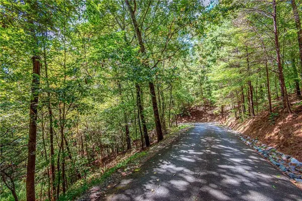 LT103R Mountain Creek Hollow DR, Talking Rock, GA 30175