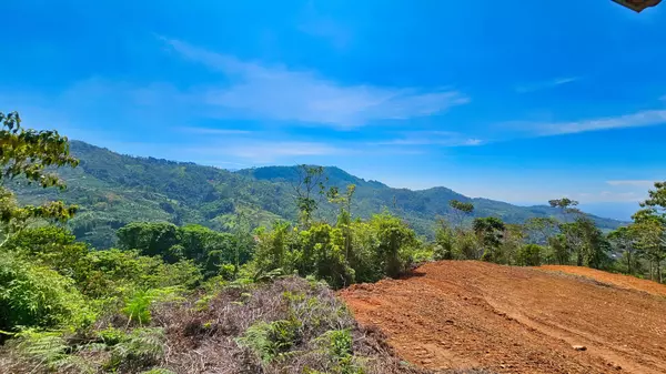 Expansive 17-Hectare Estate in San Ramón – Ideal for Private Living or Development, 