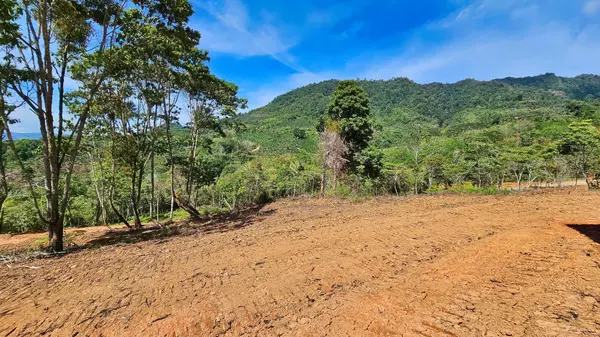 Expansive 17-Hectare Estate in San Ramón – Ideal for Private Living or Development