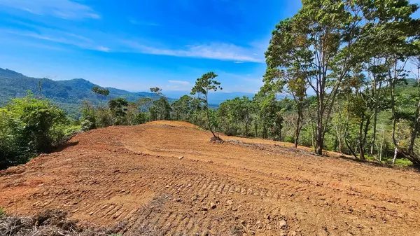 Expansive 17-Hectare Estate in San Ramón – Ideal for Private Living or Development