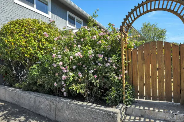3236 Cedar Hill Rd, Saanich, BC V8P 3Y3