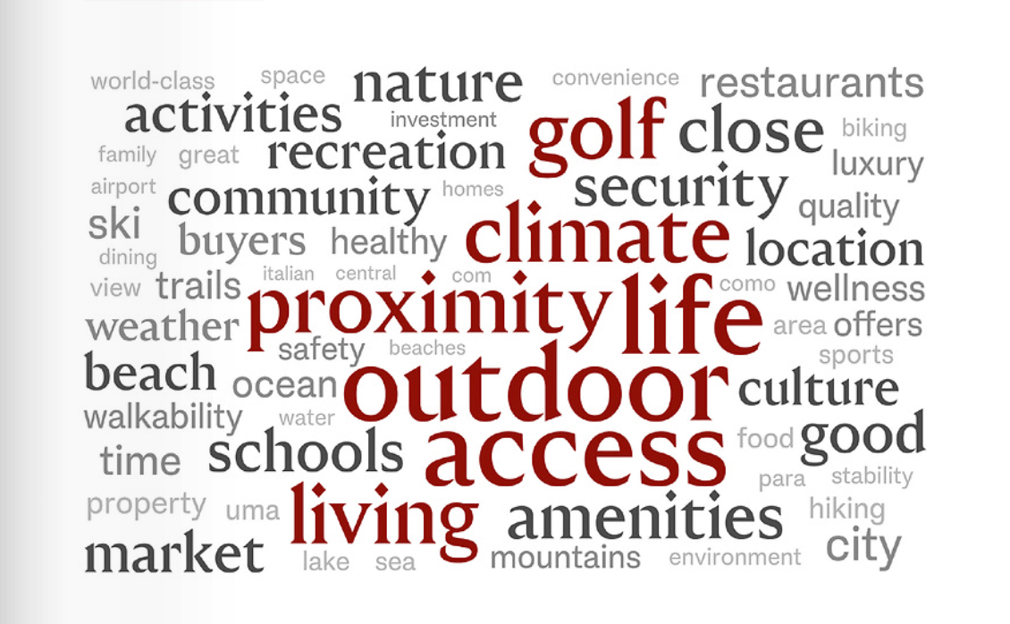 Word Graphic from The Report