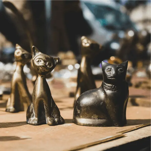 Editing Life: What Downsizing Really Means Today