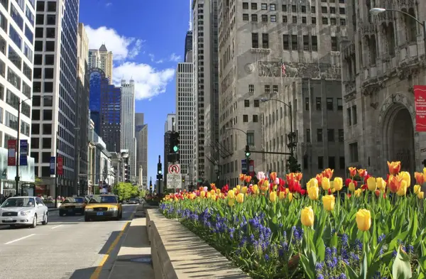 01_Mag-Mile