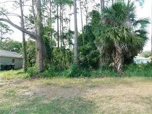 1055 Pace DR NW, Palm Bay, FL 32907