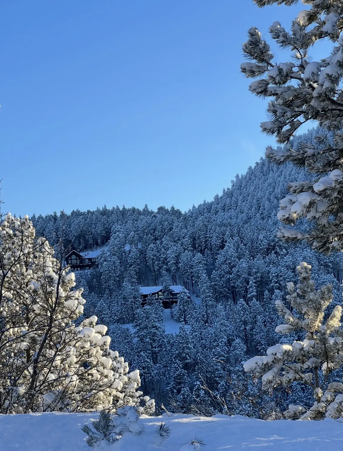6621 Green Mountain Ct, Spearfish SD view of snow Black Hills