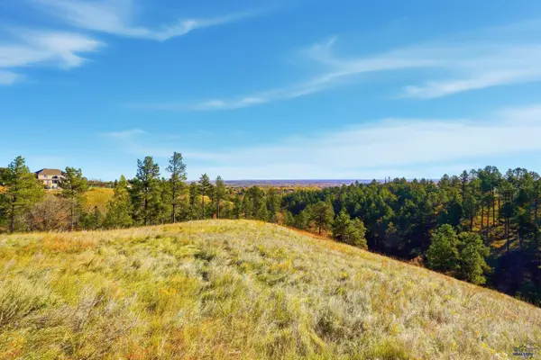Lot 17 D W MINNESOTA, Rapid City, SD 57701