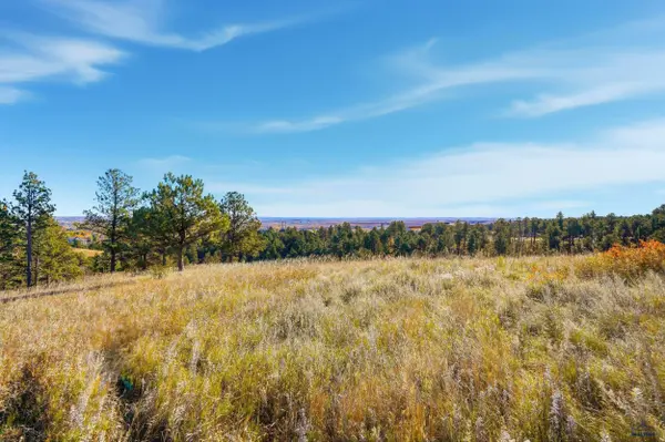 Lot 17 D W MINNESOTA, Rapid City, SD 57701