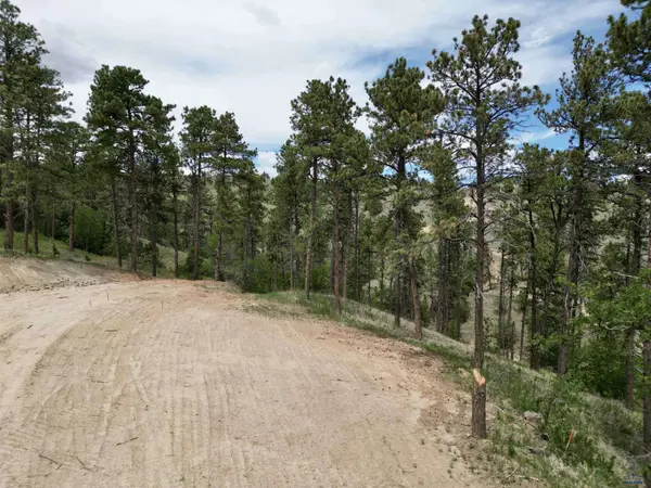 Lot17 A W MINNESOTA, SD 57701