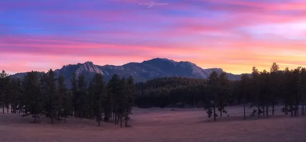 Pink Cabin Road