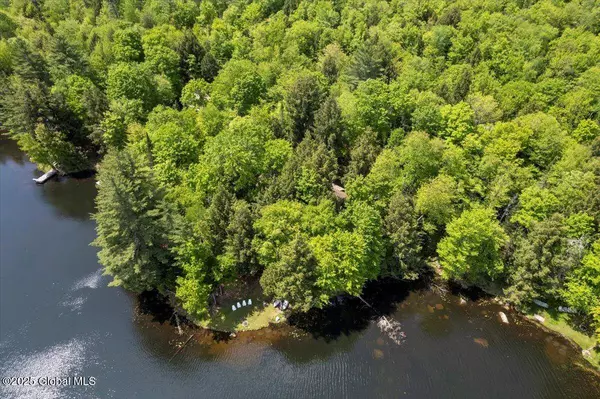 50 Shore Way, Minerva, NY 12851