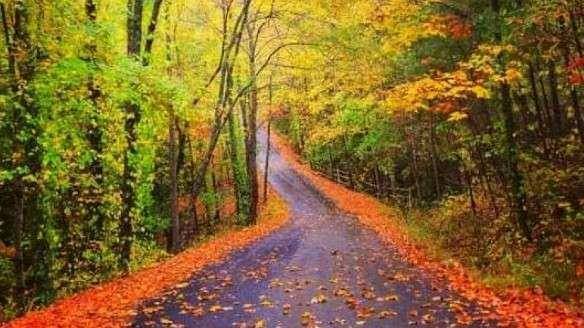 0 South Maple DR, Jasper, GA 30143