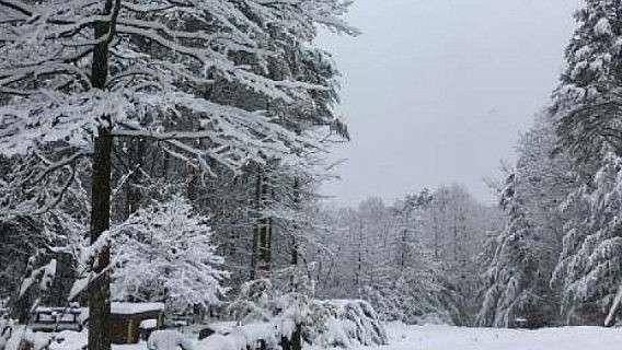 0 South Maple DR, Jasper, GA 30143