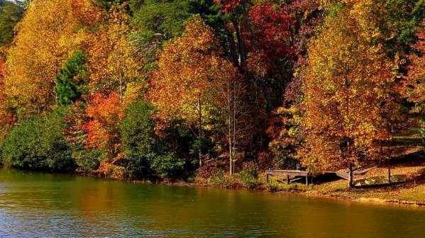 0 South Maple DR, Jasper, GA 30143