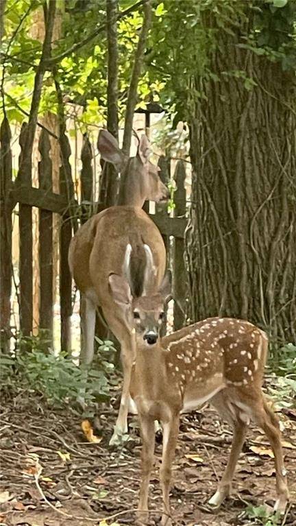 4075 Dream Catcher Drives, Woodstock, GA 30189