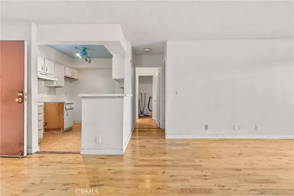 1119 Albany #106, Los Angeles, CA 90015