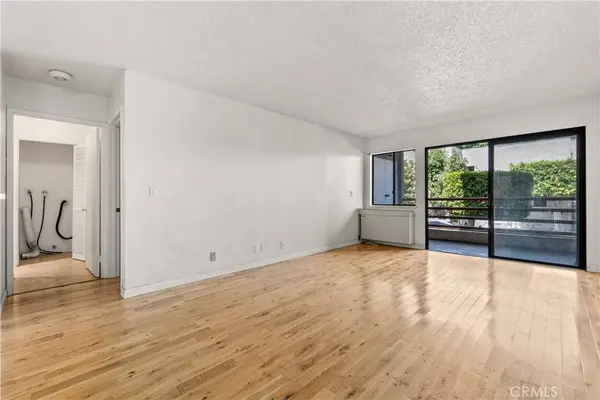 1119 Albany #106, Los Angeles, CA 90015