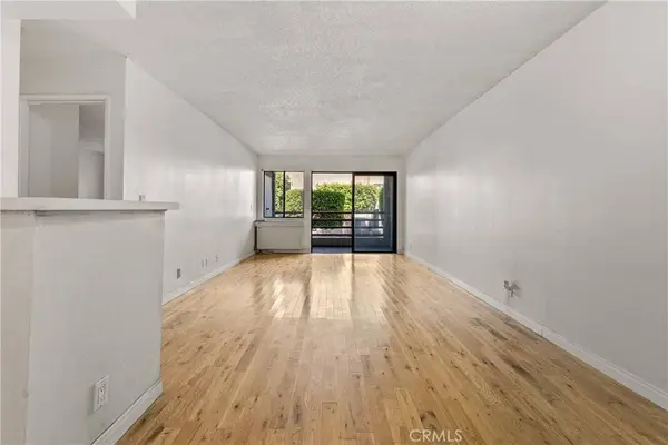 1119 Albany #106, Los Angeles, CA 90015