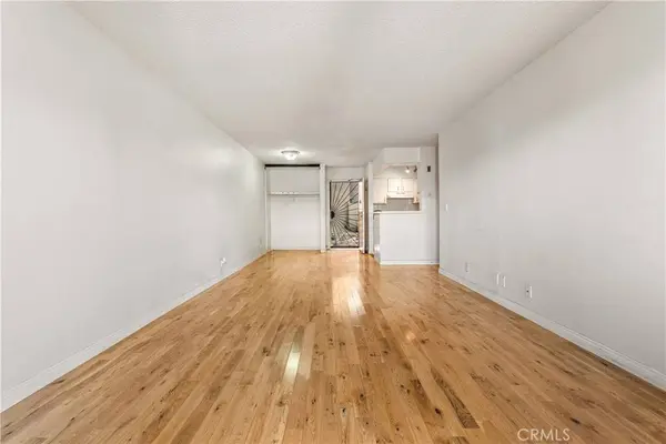 1119 Albany #106, Los Angeles, CA 90015