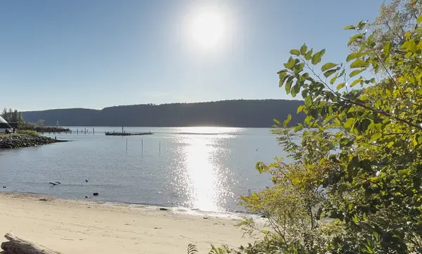Why Westchester County Is One of the Most Desirable Places to Live in New York,John Buoninfante