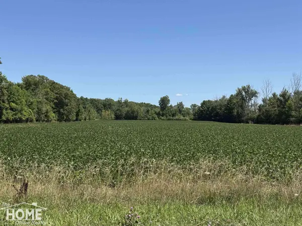 Vacant Webster Roads