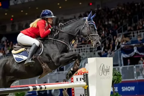 Toronto's Weekend Planner: Festivals, Feasts, and Fun (November 7-9, 2025)