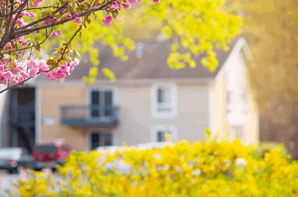 Spring is Here – But So Are the Pests! Here’s How to Keep Them Out,Khoa Le