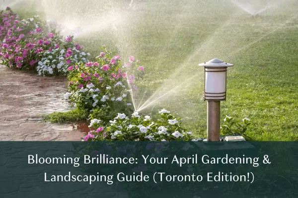 Blooming Brilliance: Your April Gardening & Landscaping Guide (Toronto Edition!),Khoa Le