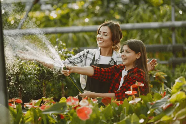 Keep Your Greater Toronto Area Garden Thriving All Summer Long
