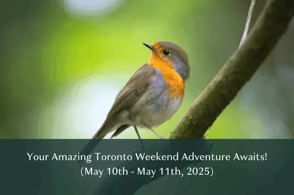 Your Amazing Toronto Weekend Adventure Awaits!