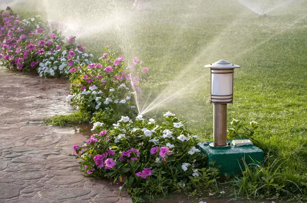 Keep Your Toronto Lawn Lush: Essential Watering Tips for Homeowners