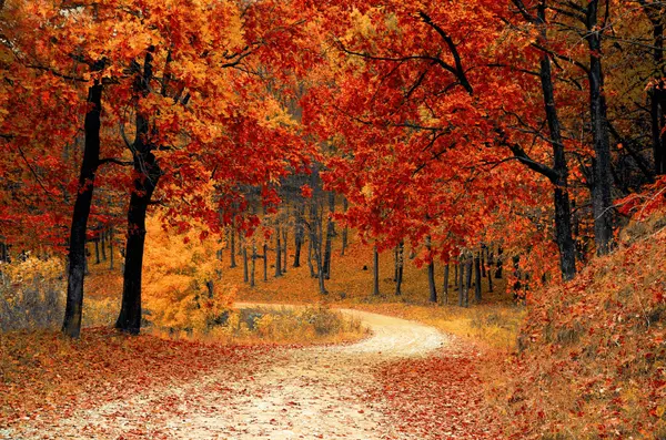 From Summer Fun to Fall Ready: Getting Your Toronto Home in Top Shape