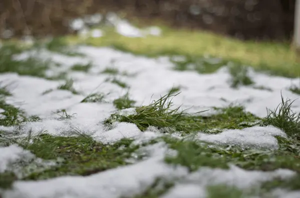 Protecting Your Investment: Spring Drainage Tips for Homeowners in Toronto and Surrounding Areas