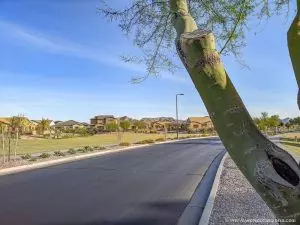 Hastings Farms, Arizona: Family-Friendly Homes & Community Perks