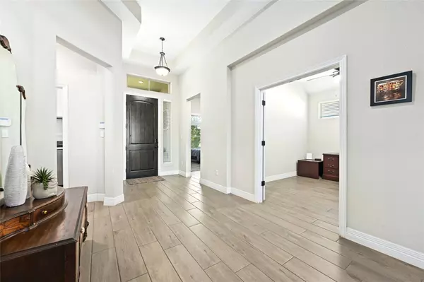 117 White Steppe WAY, Georgetown, TX 78626