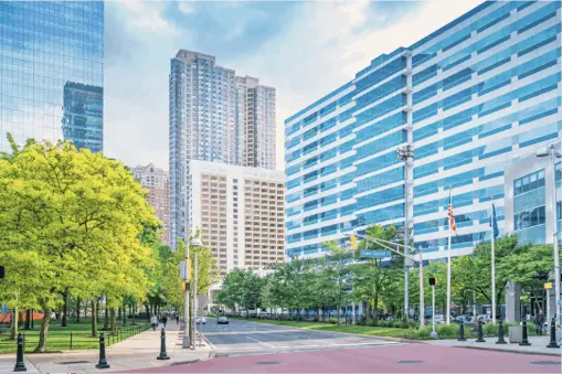 The Rise of Green Living in Jersey City