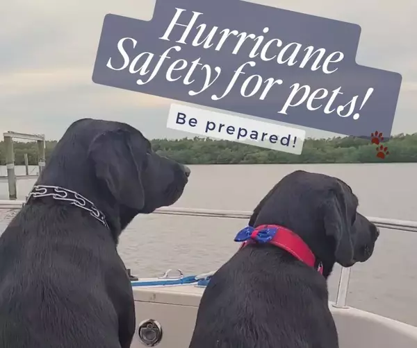 Hurricane Prep for Your Pets: Don’t Forget Your Fur Babies This Season!